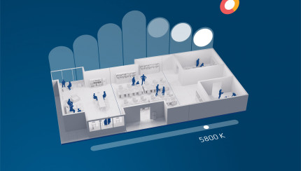 TITLE_NL_NL does not exist