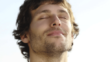 TITLE_NL_NL does not exist