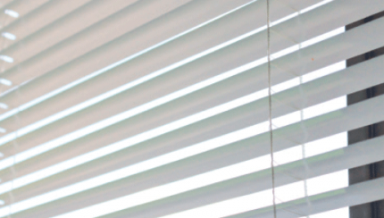 TITLE_NL_NL does not exist